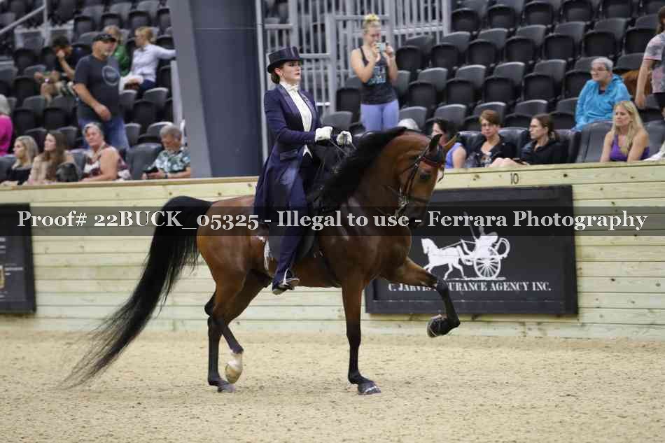 Proof 22BUCK_05325