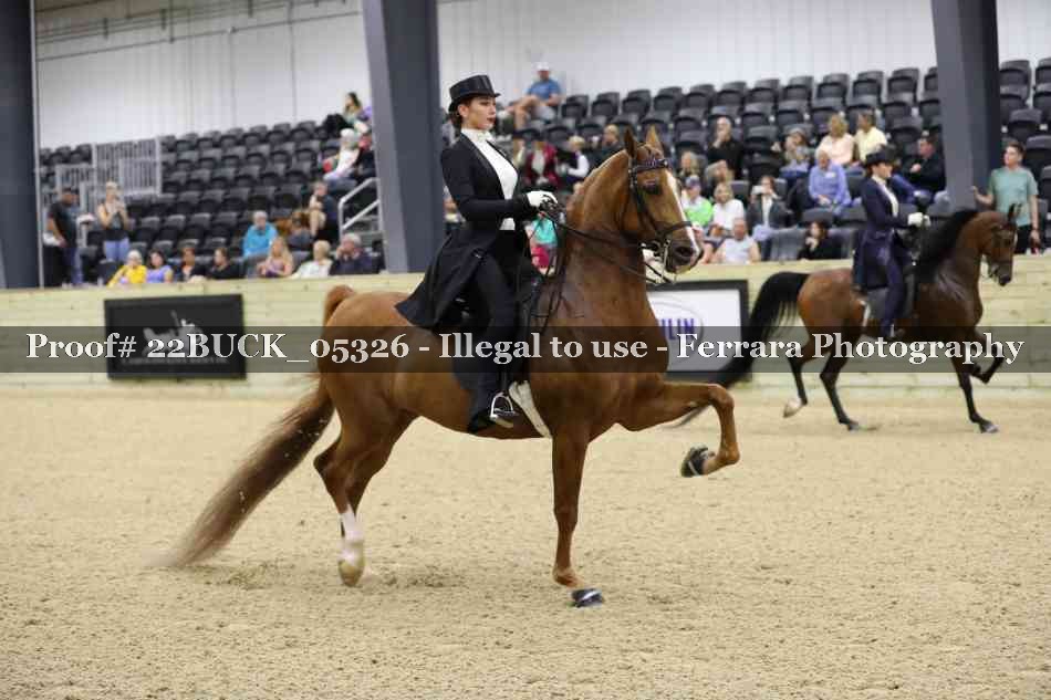 Proof 22BUCK_05326