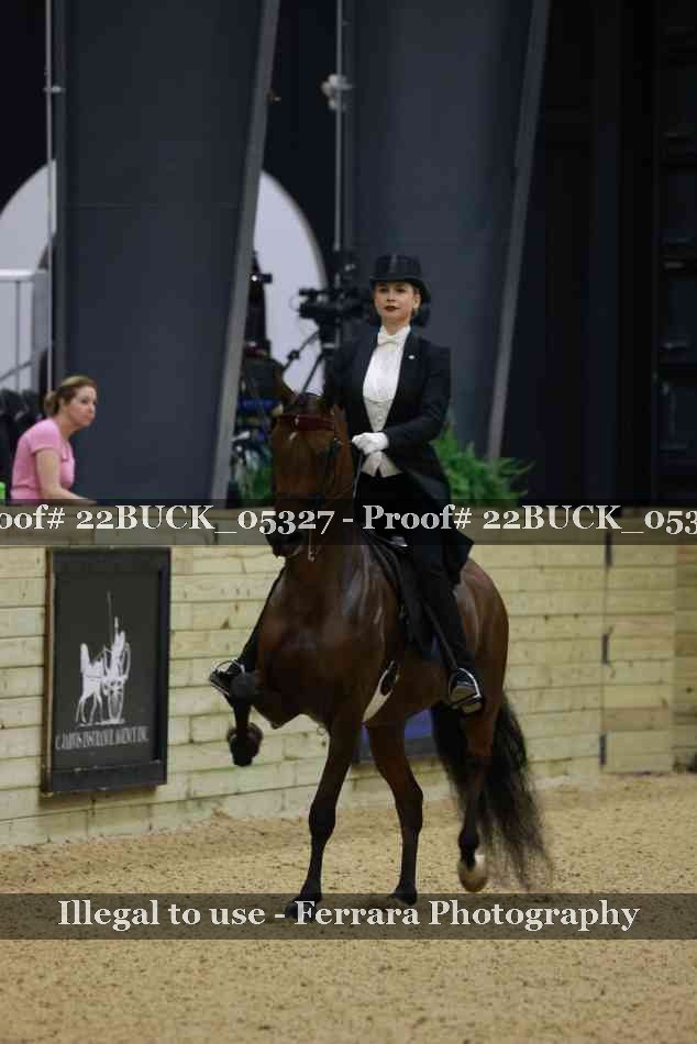 Proof 22BUCK_05327