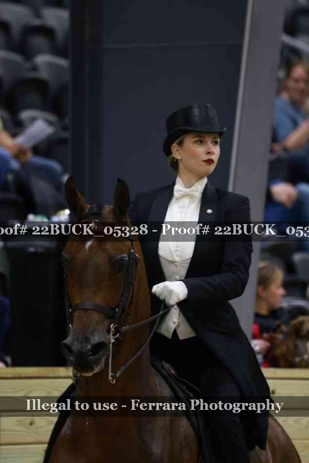 Proof 22BUCK_05328