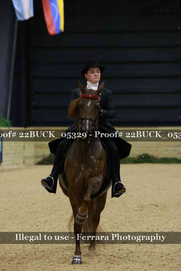 Proof 22BUCK_05329