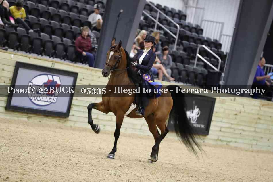 Proof 22BUCK_05335