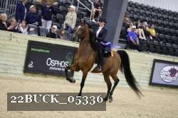 22BUCK_05336 proof