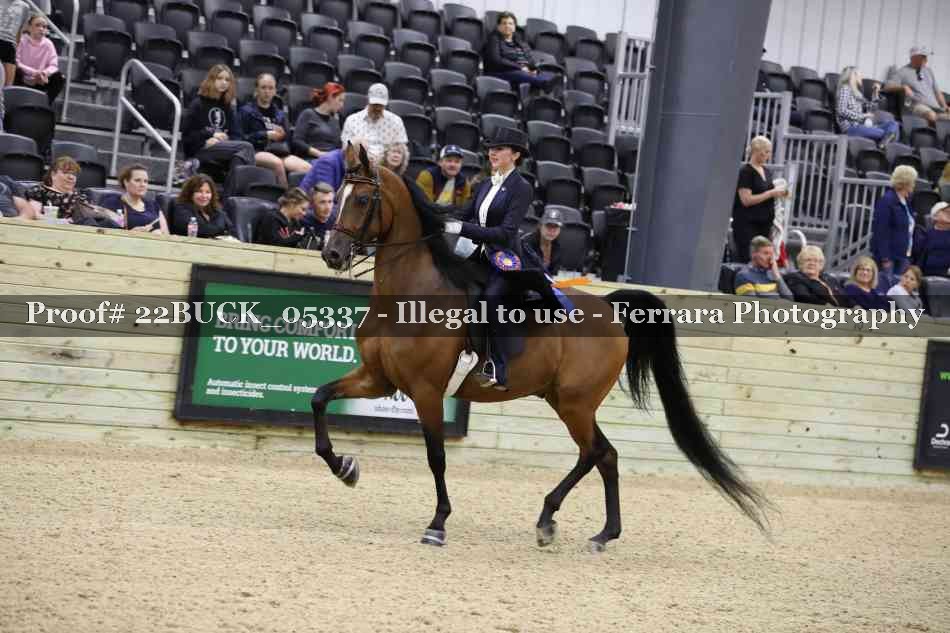 Proof 22BUCK_05337