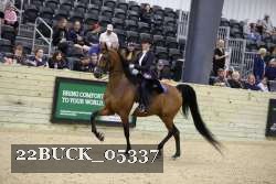 22BUCK_05337 proof