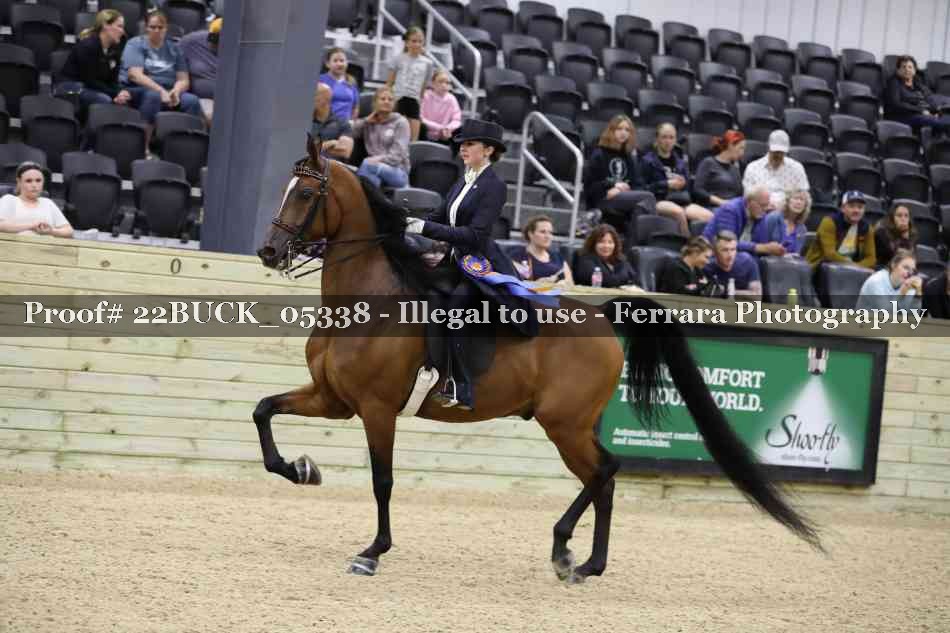 Proof 22BUCK_05338