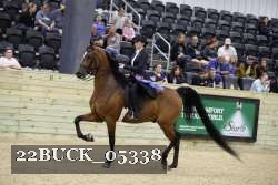 22BUCK_05338 proof