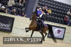 22BUCK_05339 proof