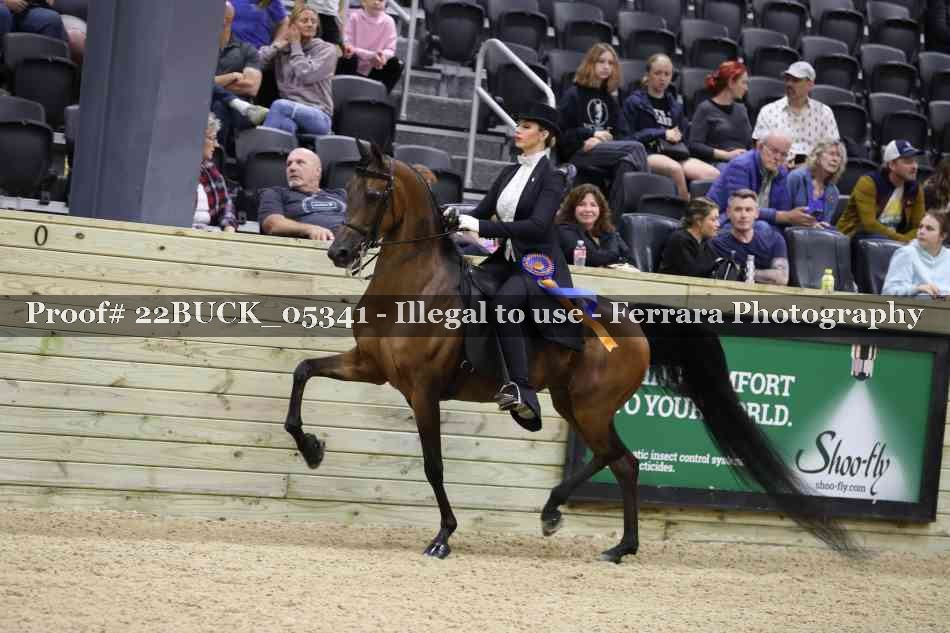 Proof 22BUCK_05341