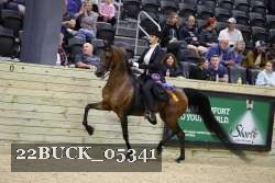 22BUCK_05341 proof