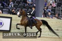 22BUCK_05342 proof