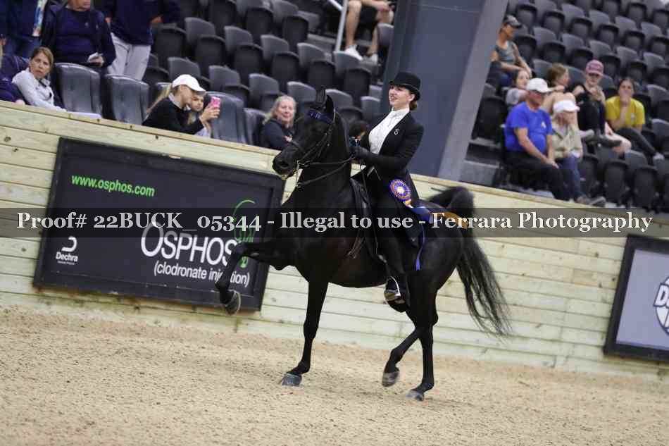 Proof 22BUCK_05344