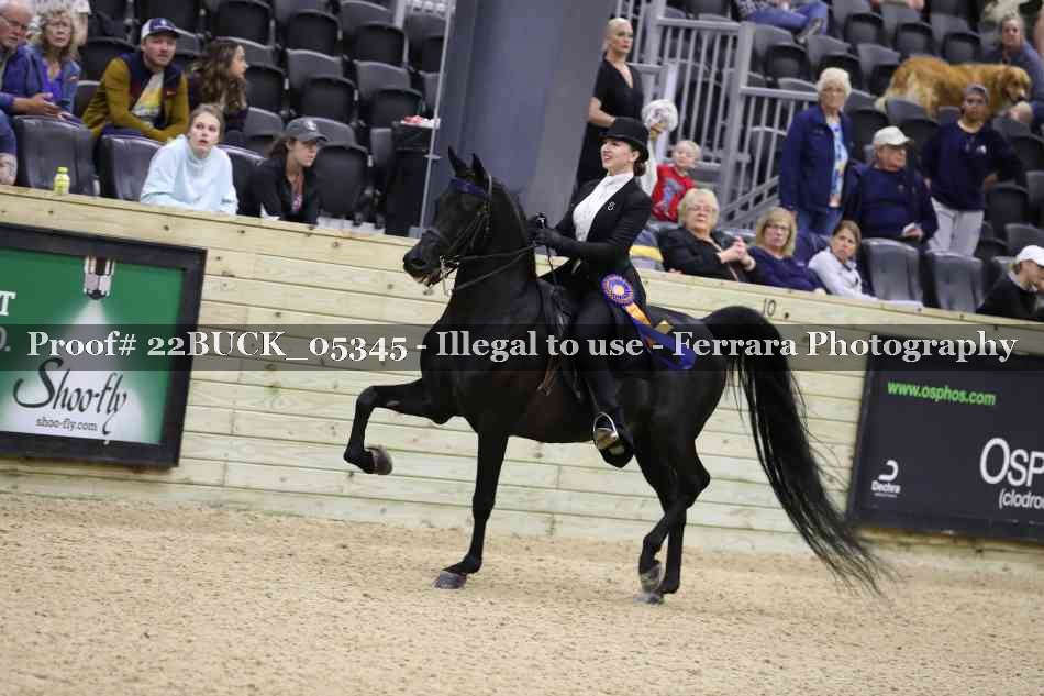 Proof 22BUCK_05345