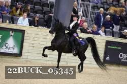 22BUCK_05345 proof