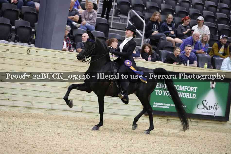 Proof 22BUCK_05346