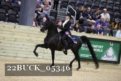 22BUCK_05346 proof