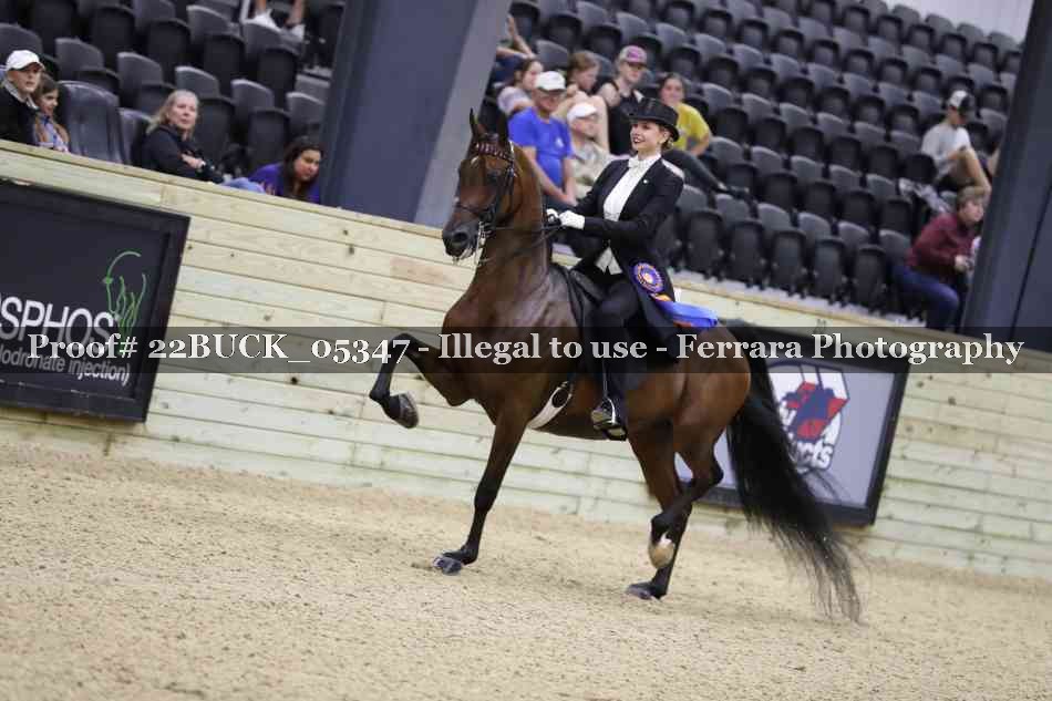 Proof 22BUCK_05347