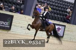 22BUCK_05347 proof