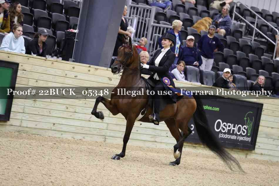 Proof 22BUCK_05348
