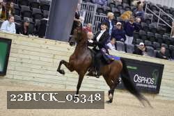 22BUCK_05348 proof