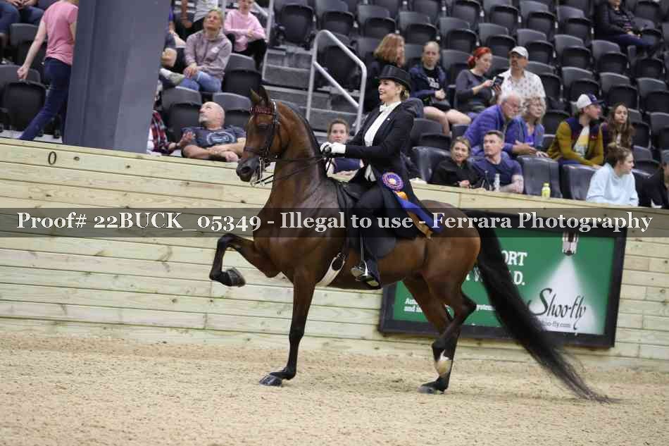 Proof 22BUCK_05349