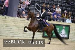 22BUCK_05349 proof