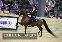 22BUCK_05350 proof