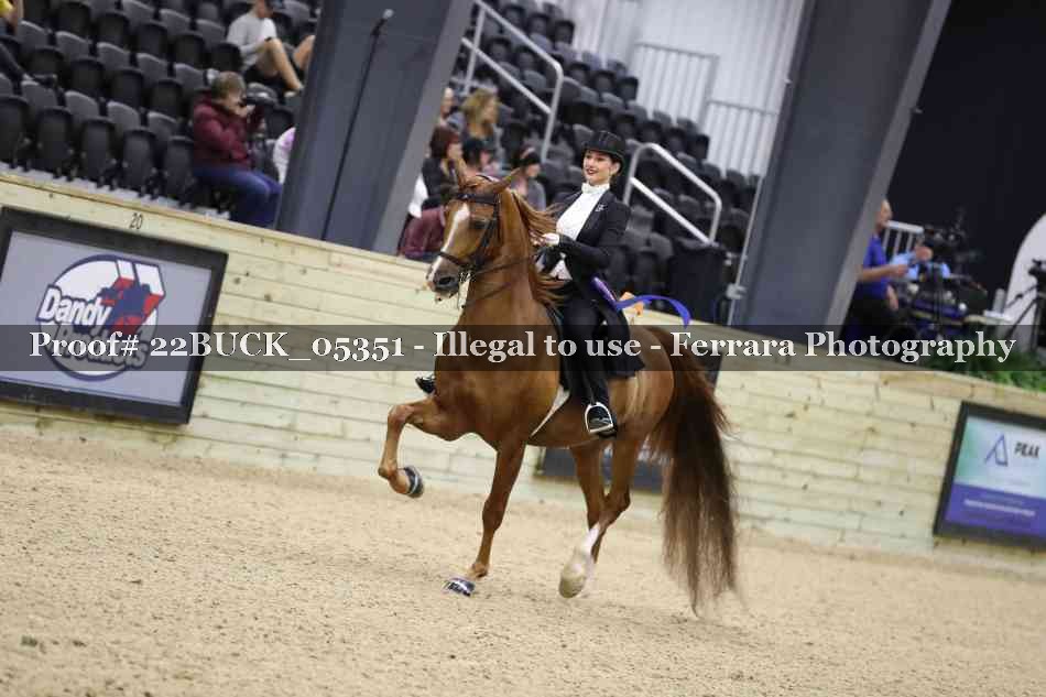 Proof 22BUCK_05351