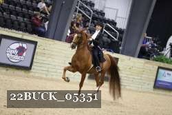 22BUCK_05351 proof