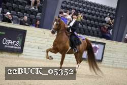 22BUCK_05352 proof