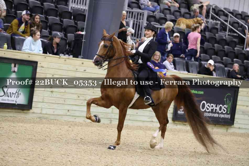Proof 22BUCK_05353