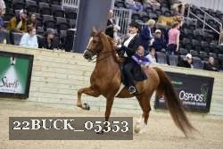 22BUCK_05353 proof