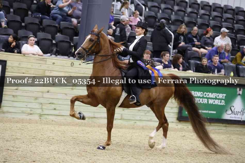 Proof 22BUCK_05354