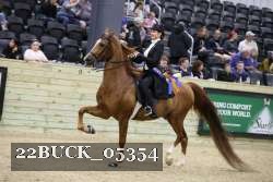 22BUCK_05354 proof