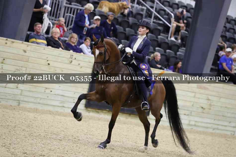 Proof 22BUCK_05355
