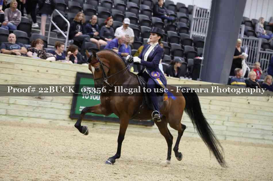 Proof 22BUCK_05356