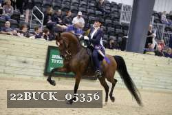 22BUCK_05356 proof