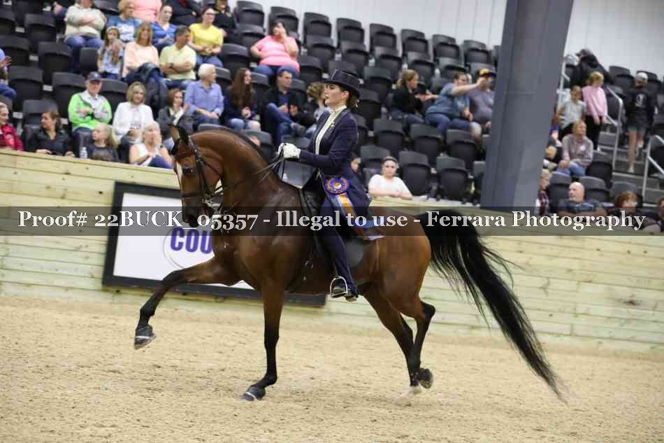 Proof 22BUCK_05357