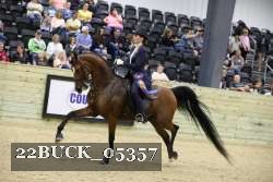 22BUCK_05357 proof