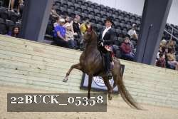 22BUCK_05358 proof