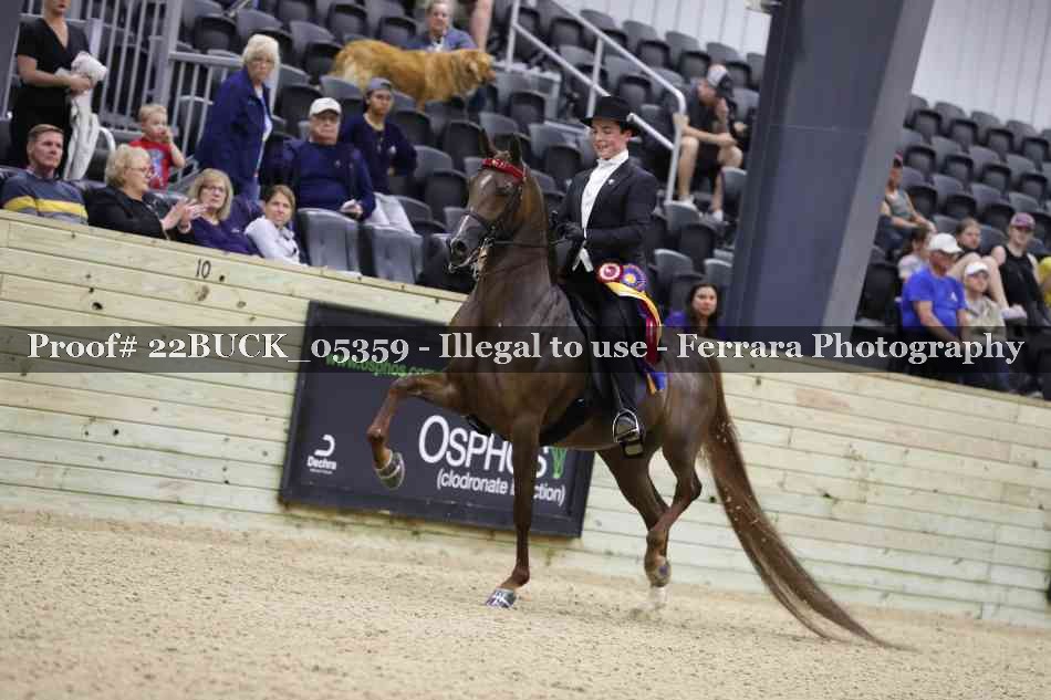 Proof 22BUCK_05359