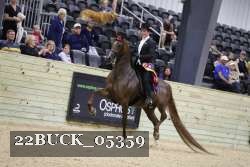 22BUCK_05359 proof