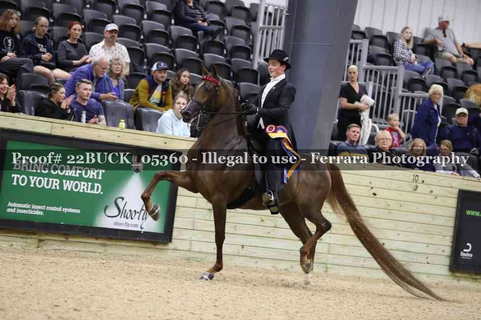 Proof 22BUCK_05360