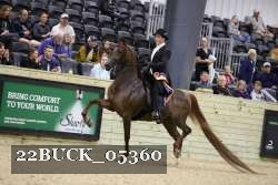 22BUCK_05360 proof
