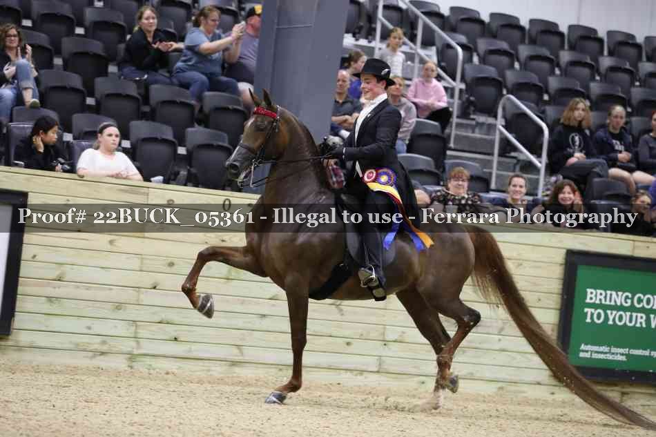Proof 22BUCK_05361