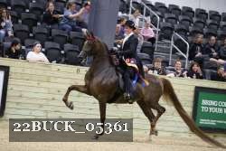 22BUCK_05361 proof
