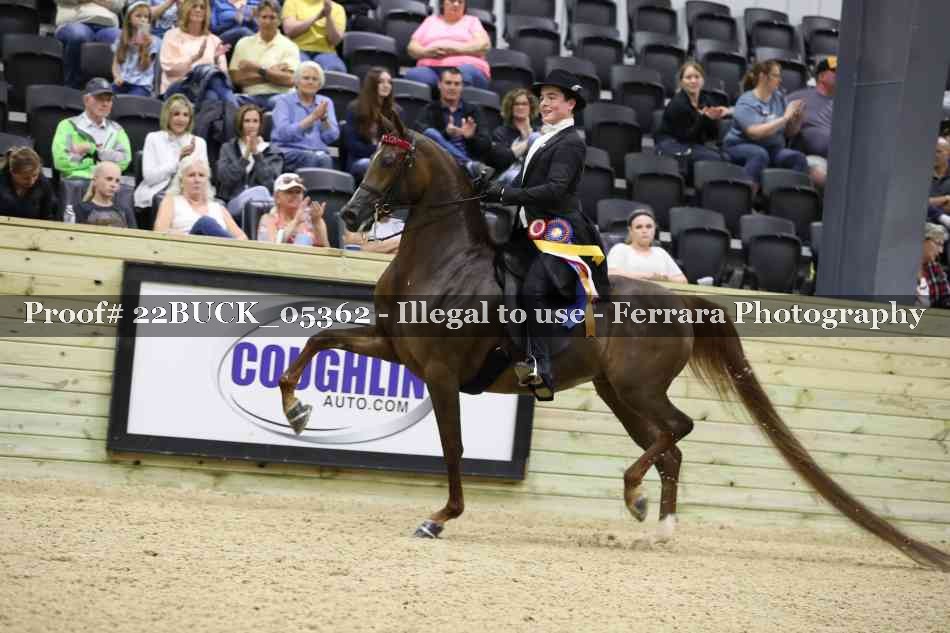 Proof 22BUCK_05362