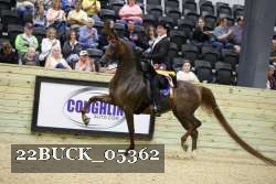 22BUCK_05362 proof