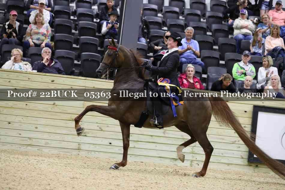 Proof 22BUCK_05363