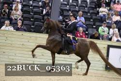 22BUCK_05363 proof